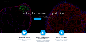 PairMe website screenshot: "Looking for a research opportunity?"