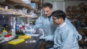 Regents Professor Mark Prausnitz and postdoctoral research scholar Wei Li examine an experimental microneedle contraceptive skin patch. Designed to be self-administered by women for long-acting contraception, the patch could provide a new family planning option. (Credit: Christopher Moore, Georgia Tech)