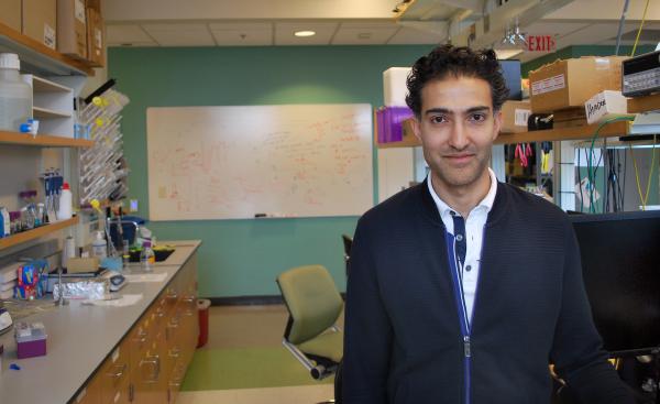 Haider Named Sloan Fellow