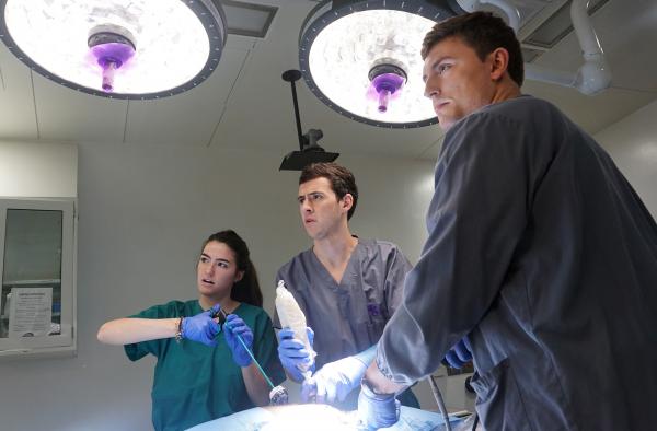 BME students Katherine Strickland, Cameron Bennett, and Will Kamnick give their medical device prototype a test run.