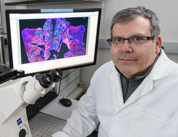 Phil Santangelo, professor in the Wallace H. Coulter Department of Biomedical Engineering at Georgia Tech and Emory University